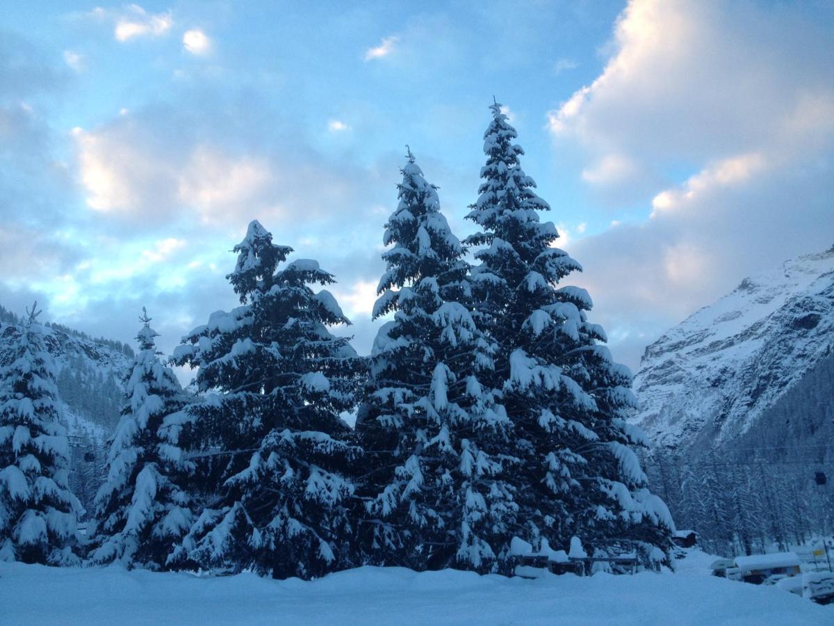 Hotel Nordend Gressoney-la-Trinité Екстериор снимка